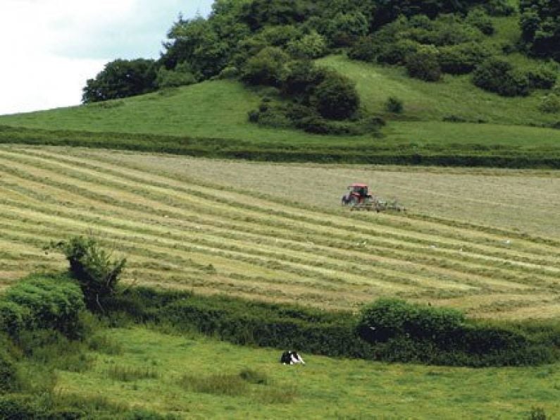 Hear from some of Waterford's most progressive farmers on My Farming Week on WLR