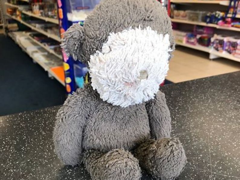 Lost: Monkey Teddy