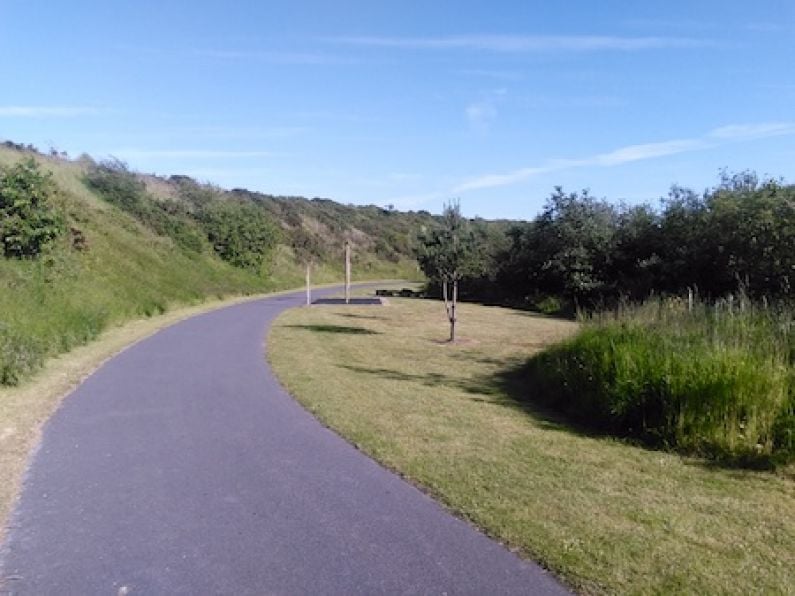 Park Run for Waterford City's Nature Park