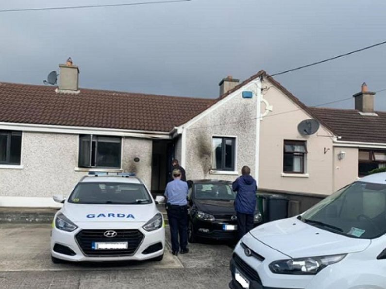 House and car damaged by fire attacks overnight