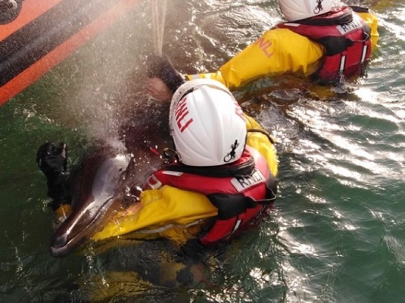 Unusual rescue for County Waterford lifeboat crew