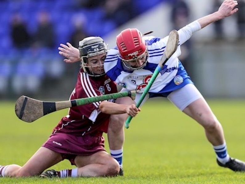 Two camogie All Stars for Waterford