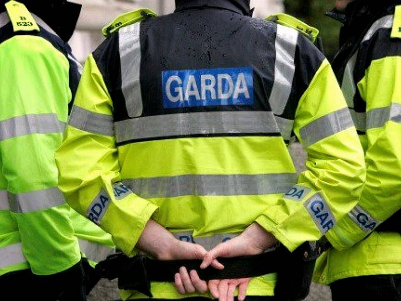 Gardaí recover lorry load of beef carcasses stolen in the North