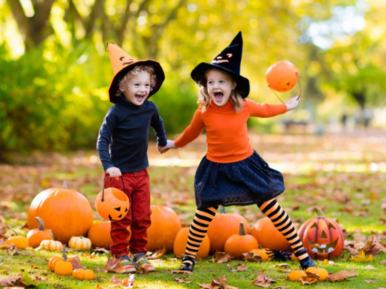 Win Passes to Mount Congreve's Magical Halloween Woodland Weekend on The Big Breakfast Blaa