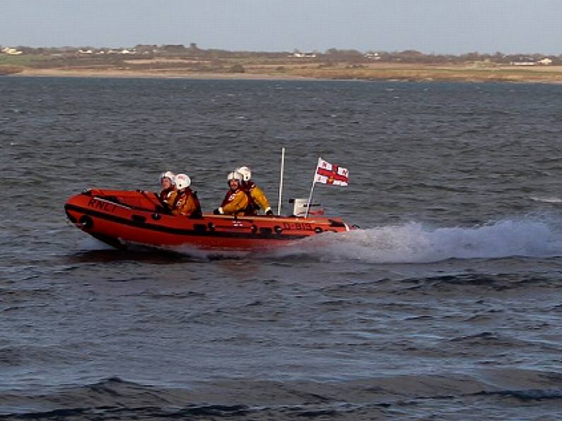 Man and two dogs rescued from Creaden Head, Waterford