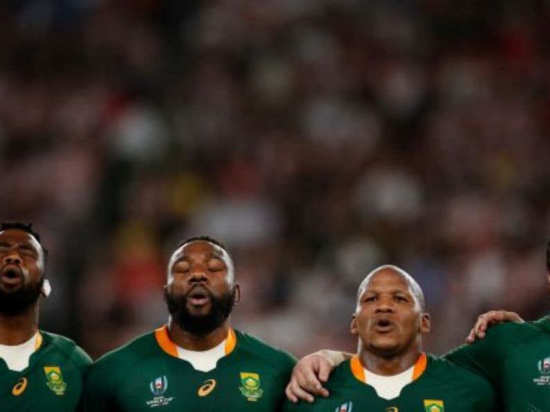 South Africa to face England in Rugby World Cup final after beating Wales