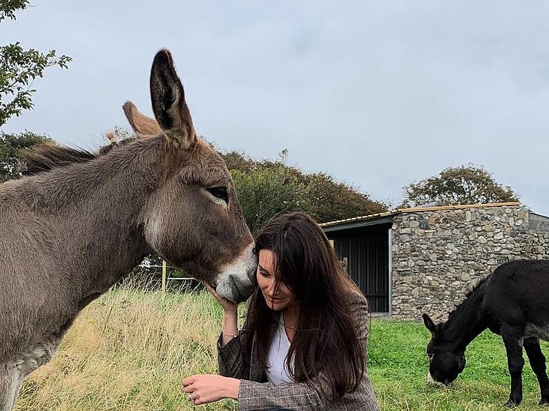 Listen back: Vanessa Whelan talks to Ollie and Mary about adopting two donkeys