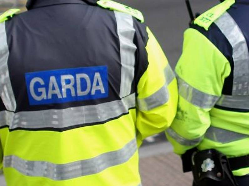 Bone fractures and dislocations among injuries suffered by Waterford Gardai