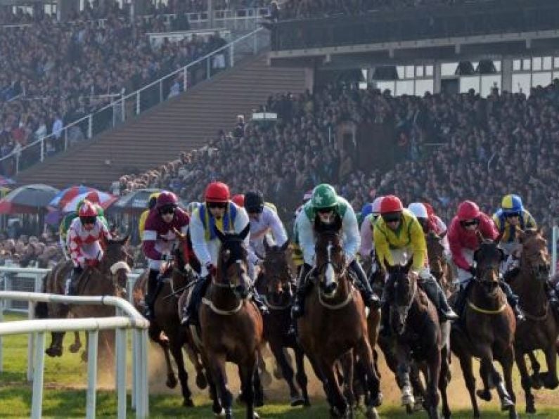 Today's racing at Fairyhouse cancelled due to rain overnight