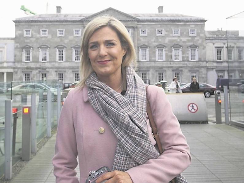 Fine Gael bid to avoid repeating Maria Bailey or Verona Murphy controversy with candidate pledge