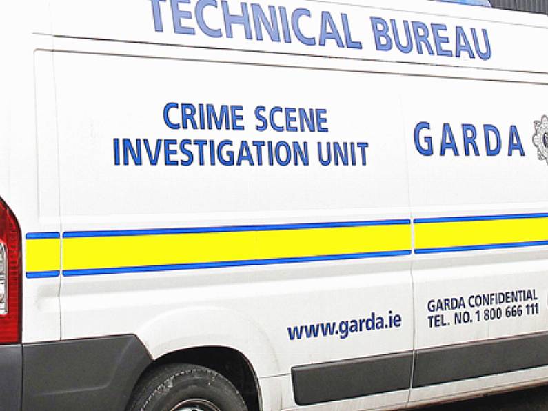 House in Co Louth sealed off in connection with human remains found in Dublin