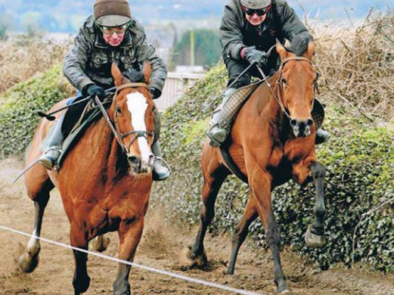 82-year-old County Waterford trainer John Kiely is recovering after breaking his leg in gallops fall.