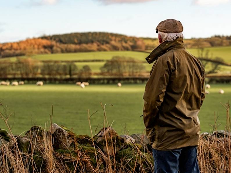 Irish Farmers Association criticise European Commission's €80m agri-food package