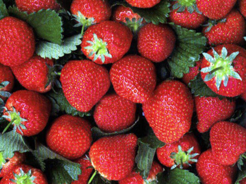 Aisling Larkin and Wimbledon strawberries!