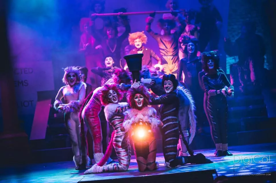 cats musical theatre royal