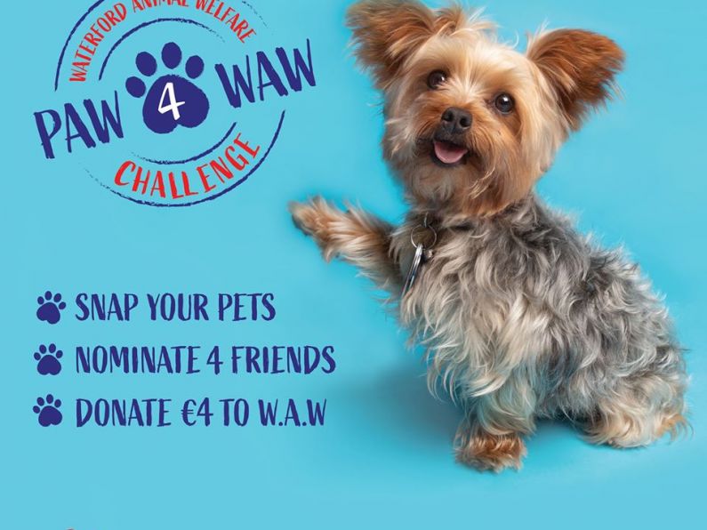 Listen back: A Dungarvan company has teamed up with Waterford Animal Welfare for #Paw4Waw