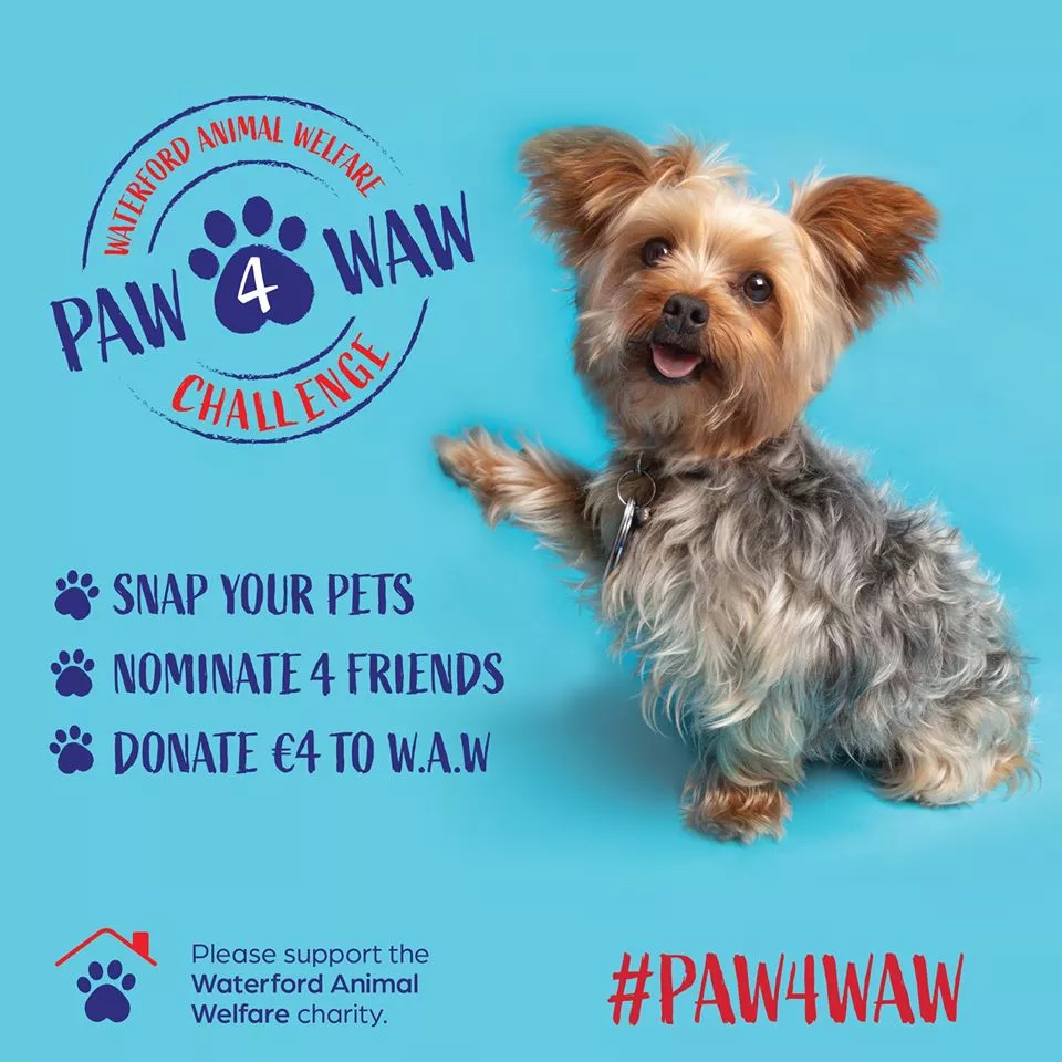 charity paw waw