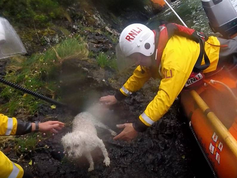 RNLI involved in rescue of man and girl cut off by tide and stranded on rocks in Waterford