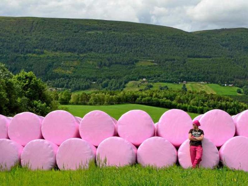 Waterford Farmers Turn Countryside Pink for Breast Cancer Ireland.