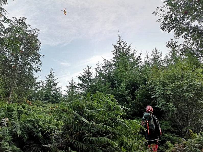 Rescue services carry out search for missing person overnight