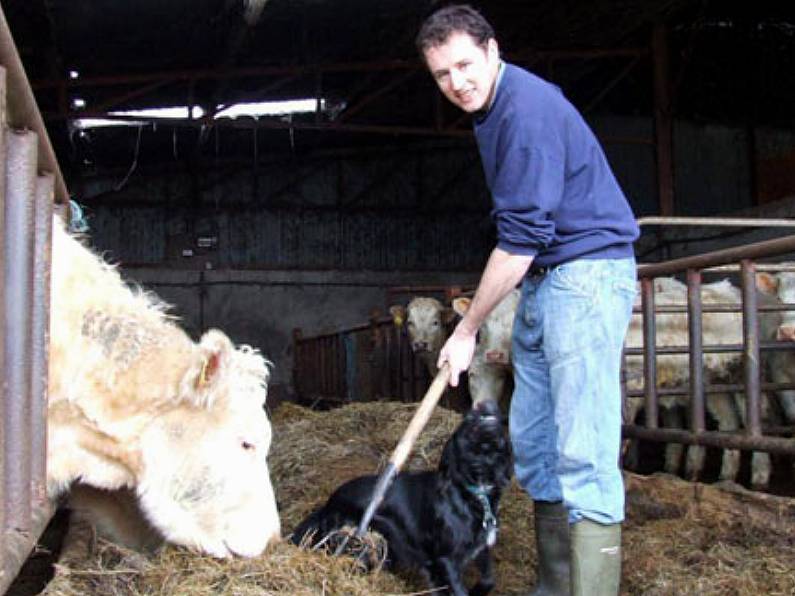 Charlie McConalogue named new Minister for Agriculture