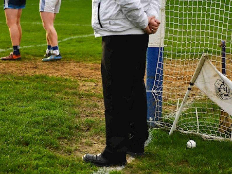 Fergal Horgan set to ref the hurling final