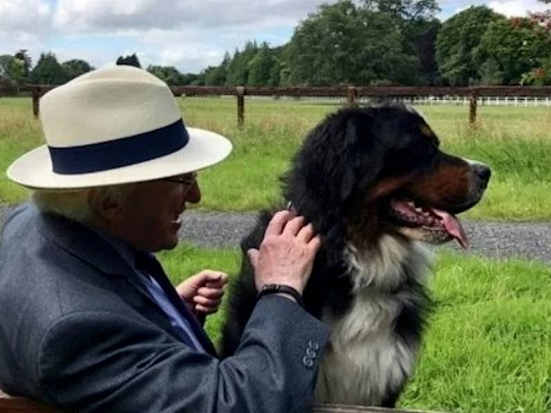 Michael D Higgins' dog, Síoda, dies after short illness