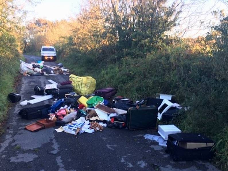 Waterford Council appeals to people to report illegal dumping after incident overnight