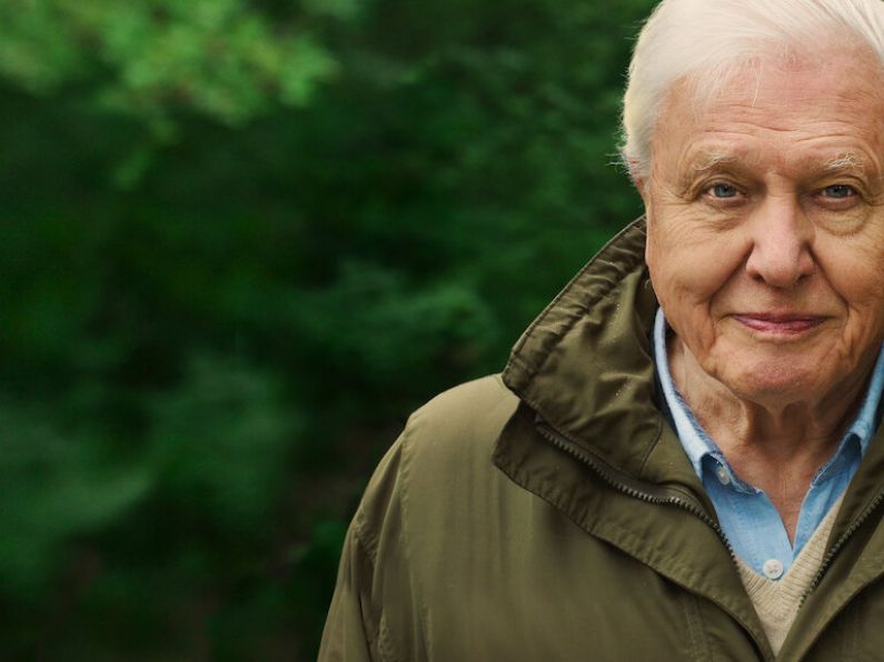 Listen back: David Attenborough is pleading with the world in his new film