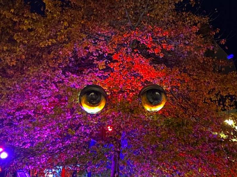 Spooky eyes light up John Robert's Square this Halloween