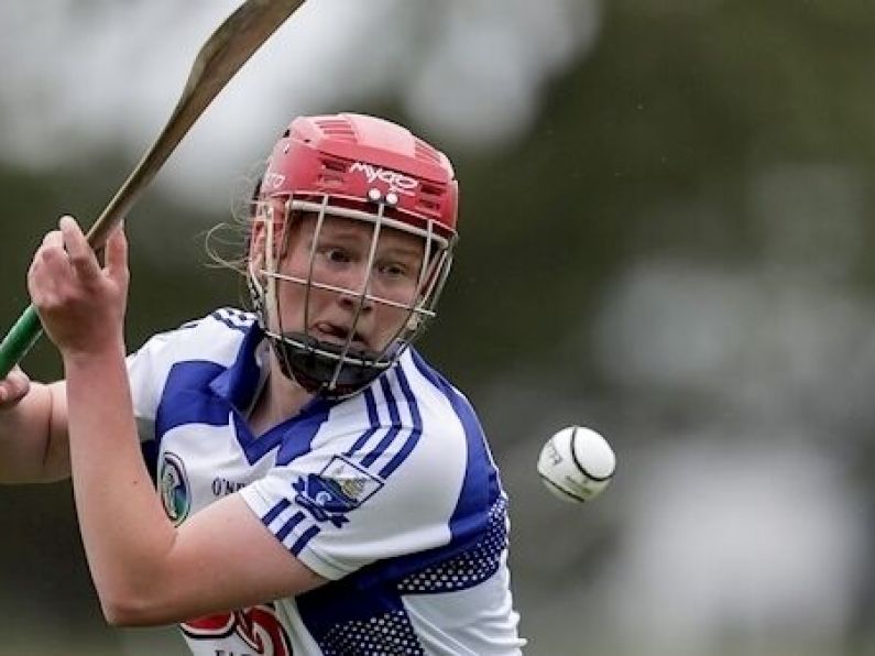 Carton fires Déise to All Ireland camogie quarter finals