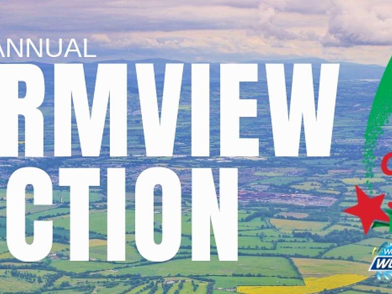 WLR's Farmview Auction raises more than €8,000 for SVP