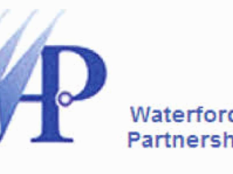 Waterford Area Partnership is given two months to deal with 'issues'