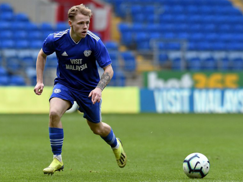 James Waite joins Waterford FC on loan from Cardiff City