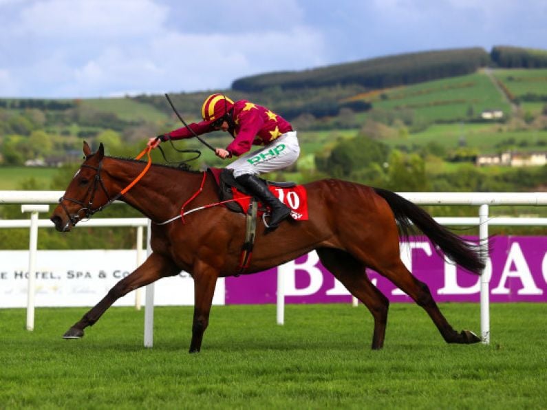 De Bromhead hoping for success with Minella Indo in Irish Gold Cup