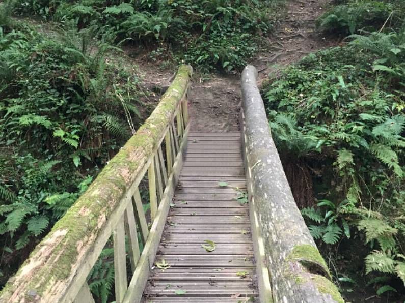 "Grim" bridges planned for Tramore's Newtown Woods