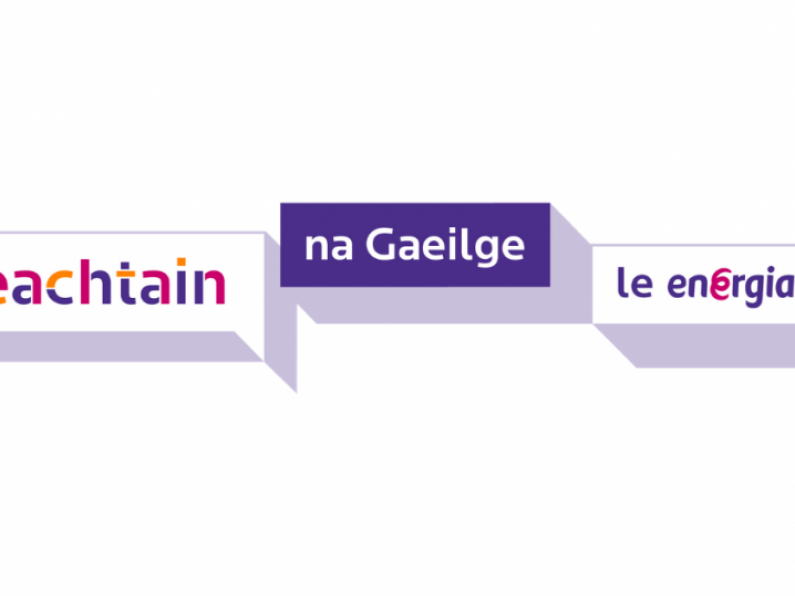 There are a whole host of virtual Seachtain na Gaeilge events being celebrated in Waterford this year
