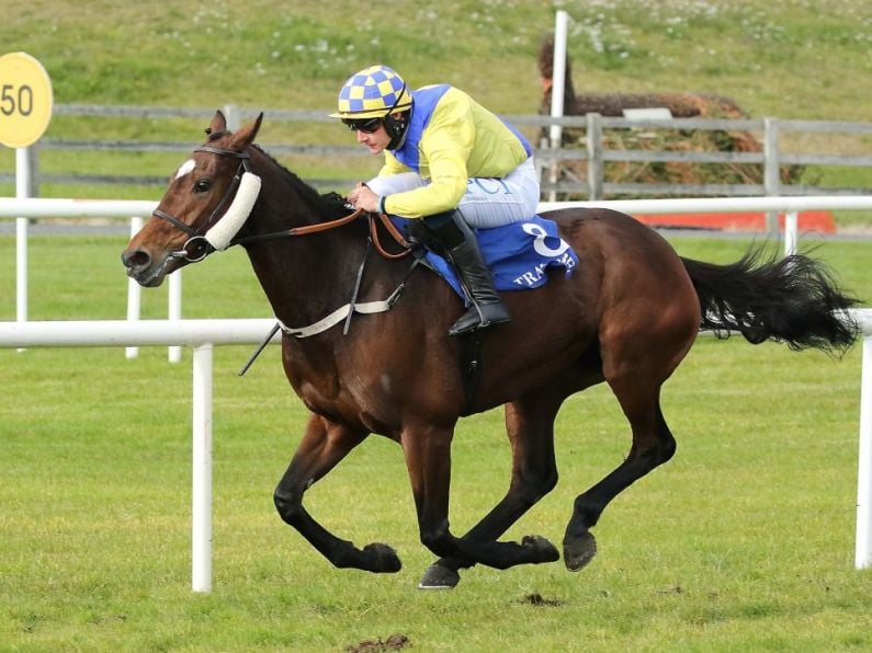 Tramore August Racing Festival | Day 3 Preview