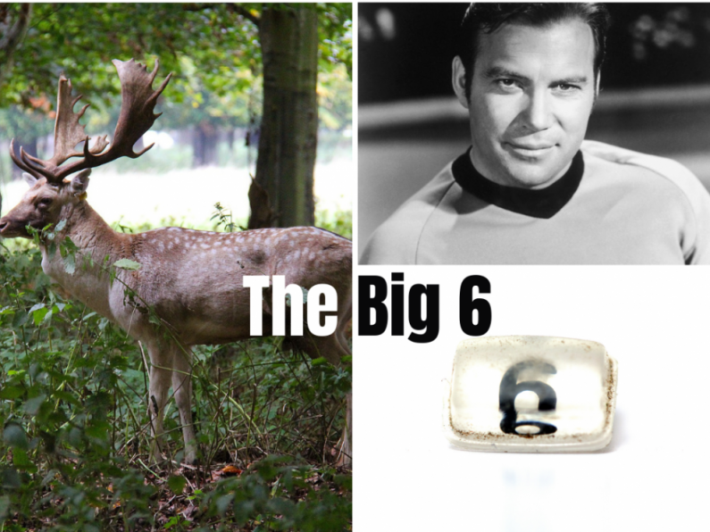 The Big 6 - Monday 22nd March