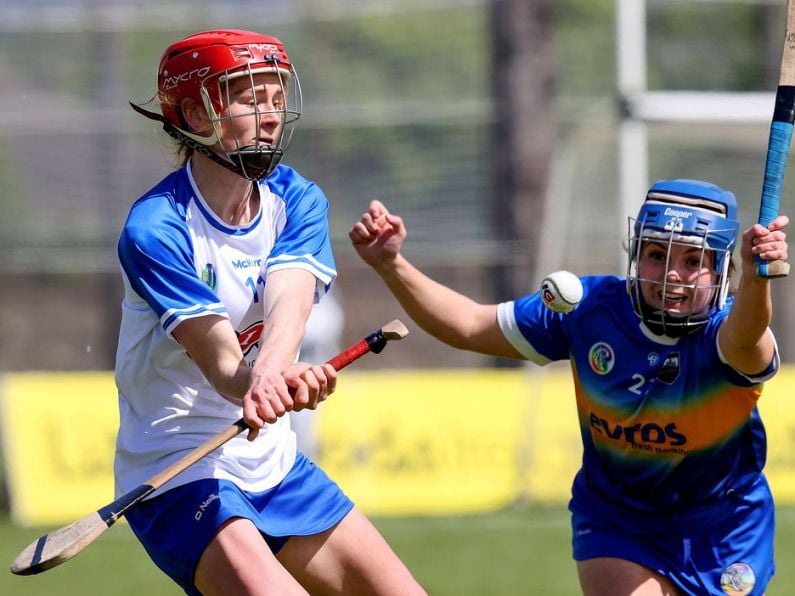 Tipperary 2-16 Waterford 0-11 | Littlewoods Ireland Camogie Leagues | Division 1, Group 2