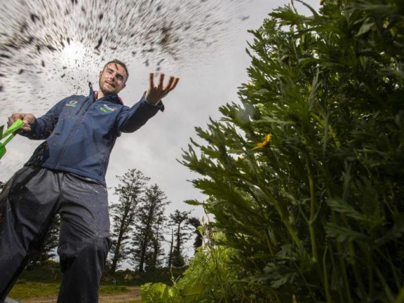 Portlaw farmer champions biodiversity