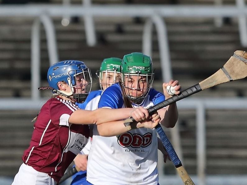 Waterford's Shona Curran nominated for camogie All Star