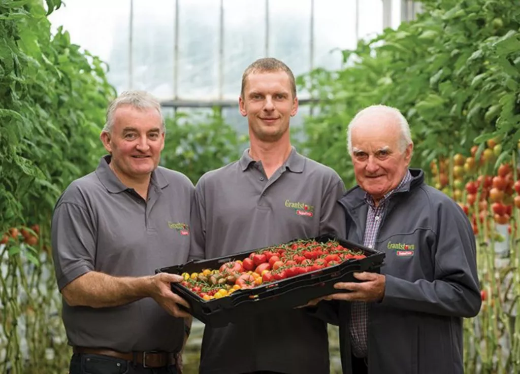 Grantstown Tomatoes Nursery Ballygunner Waterford