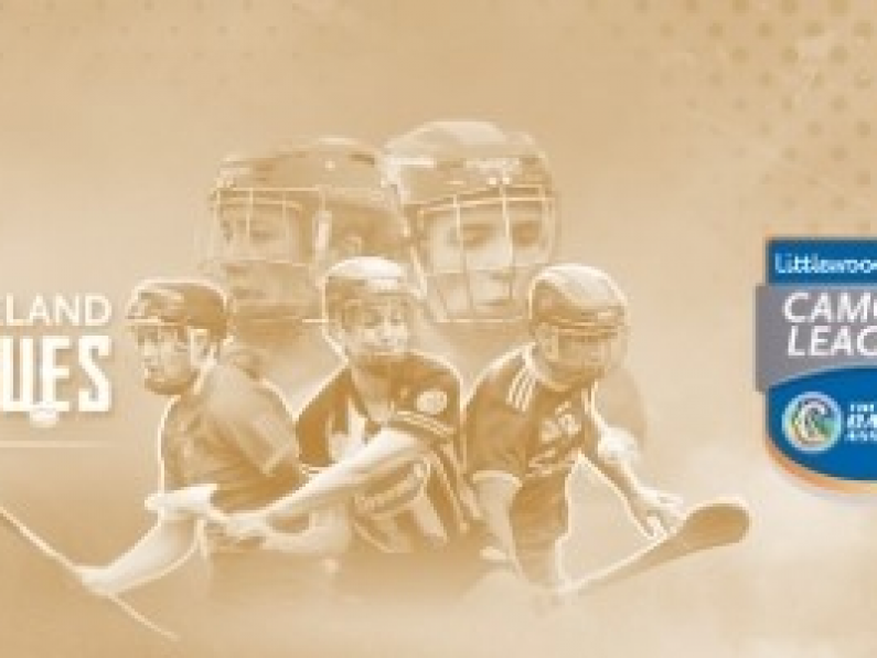 All-Ireland Camogie Championship Draws