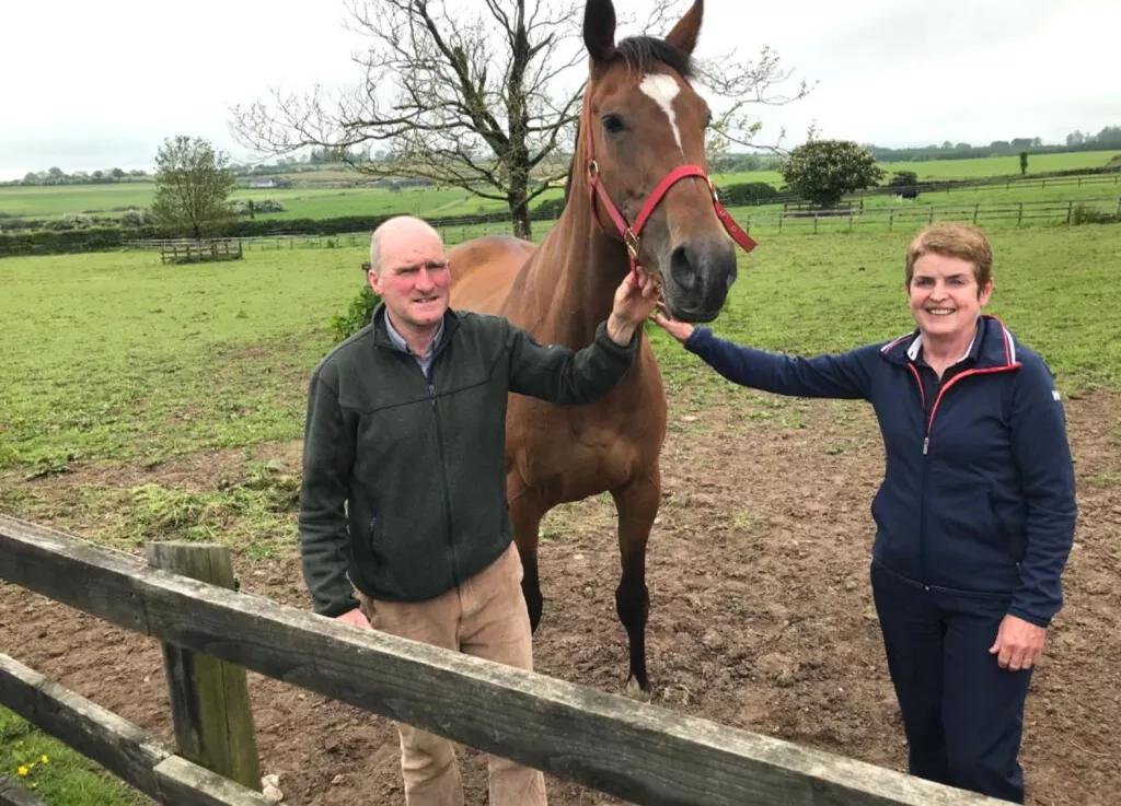 Flynns Horse Breeder, Colligan