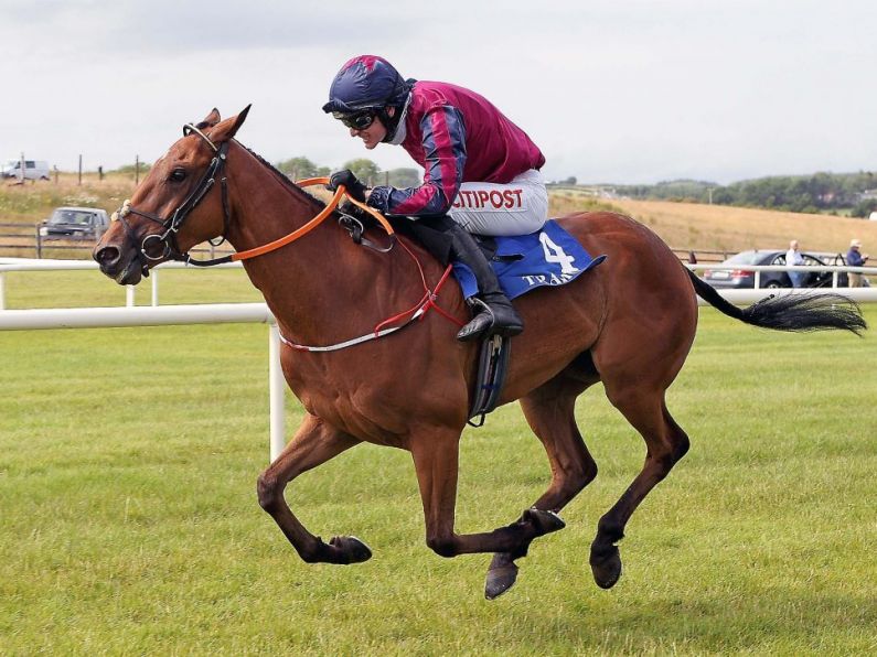 Tramore August Racing Festival | Day 2 Preview