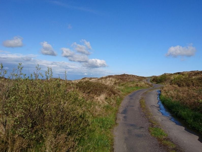 Waterford farmer who uprooted hedge committed 'ecocide' says Ó Cathasaigh