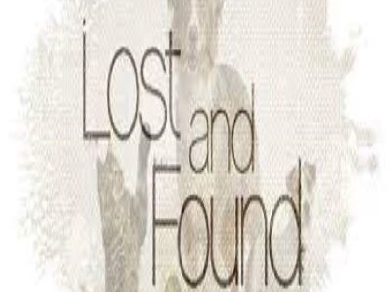 Lost : Coin Purse