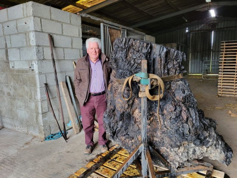 LISTEN: Knockanore's Tom Joe Murphy on unearthing oldest grown tree in Britain and Ireland