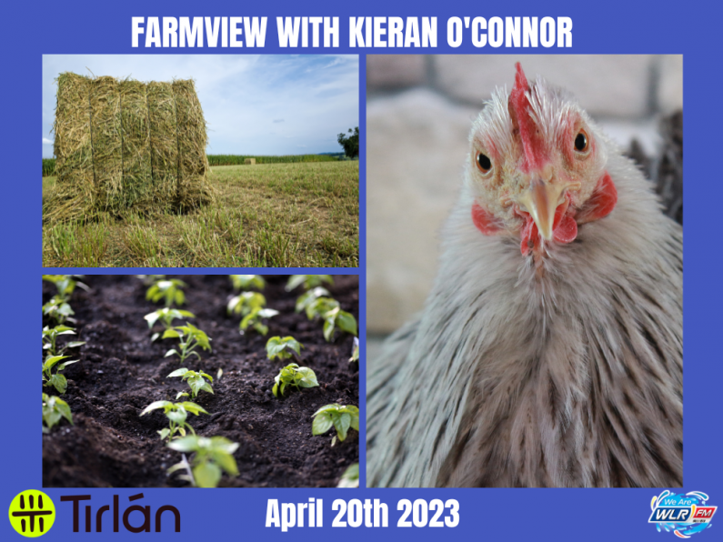 Listen Back: Farmview April 20th, 2023